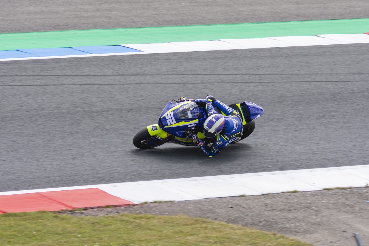 陈涛：我对新鹏城有很深的情感，但很多东西需要的是双向奔赴